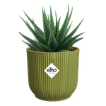 vibes fold rond mini 11cm varengroen